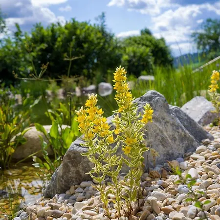 Chalet Wiesenquartier I I Adults Only *