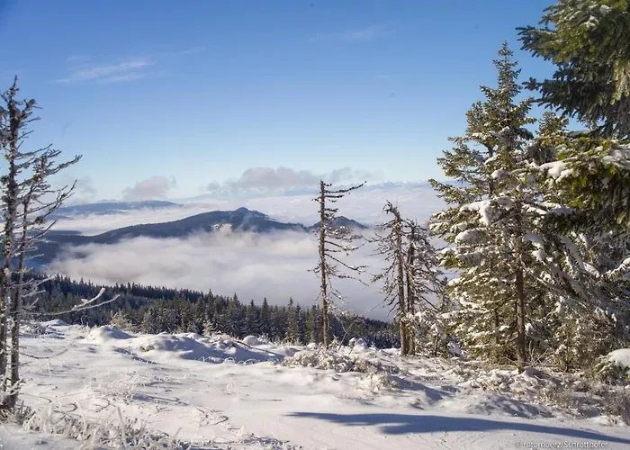 Wiesenquartier I I Adults Only Langenwang