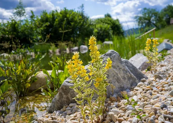 Chalet Wiesenquartier I I Adults Only *